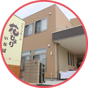花びより/かいぞう